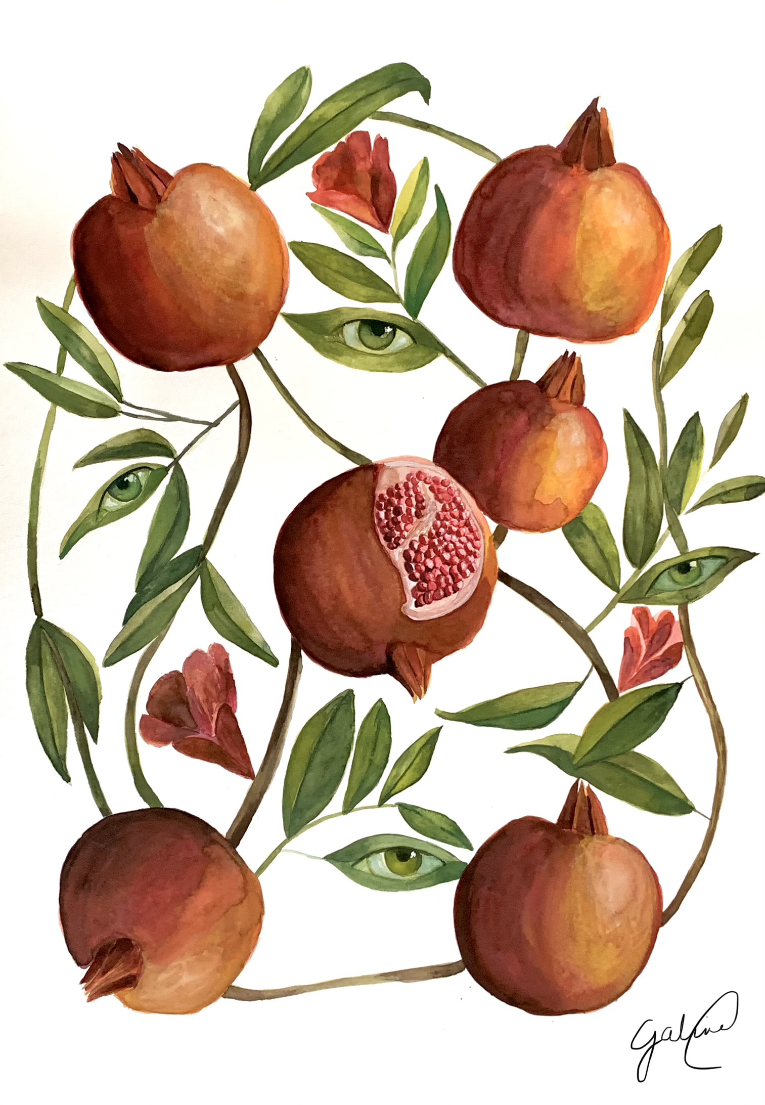 No Pomar da Minha Vó